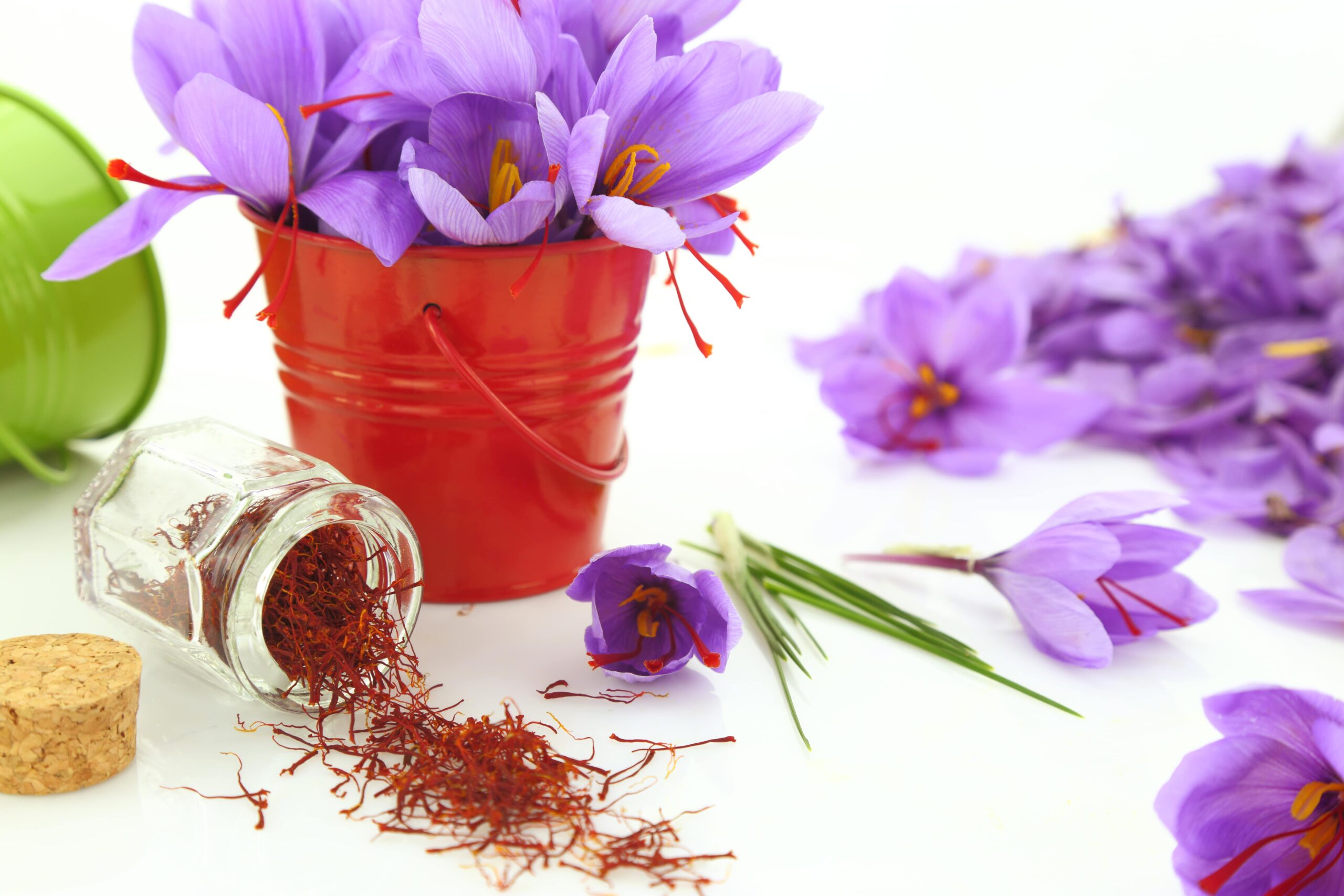 Saffron Parent Pulse Article Featured Image