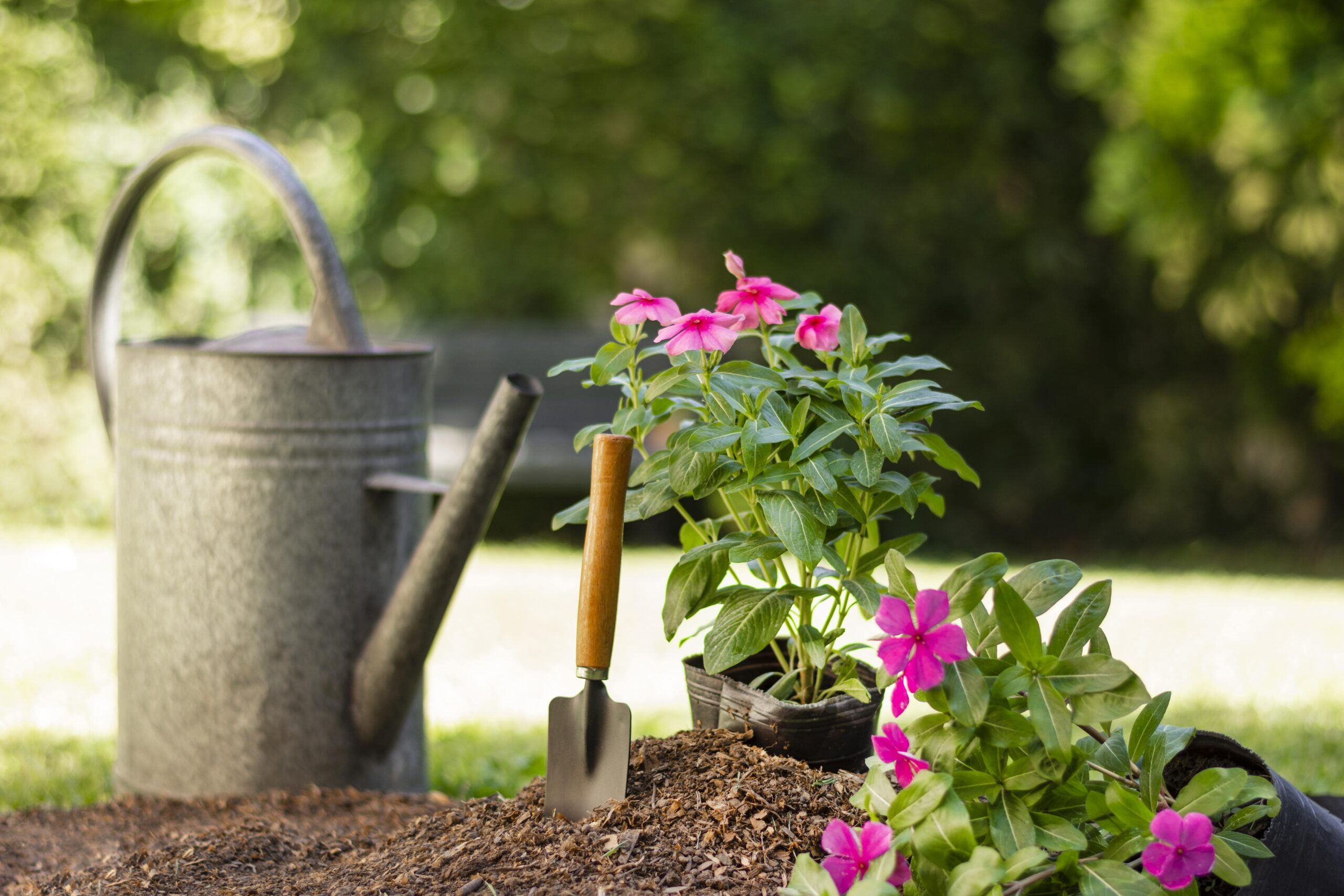 Home Garden Parent Pulse Article Featured Image