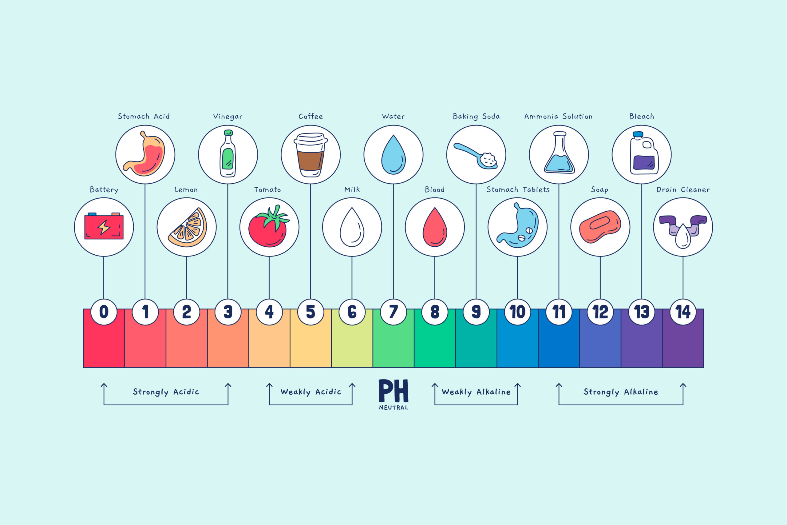 pH Scale Parent pUlse Article Featured Image